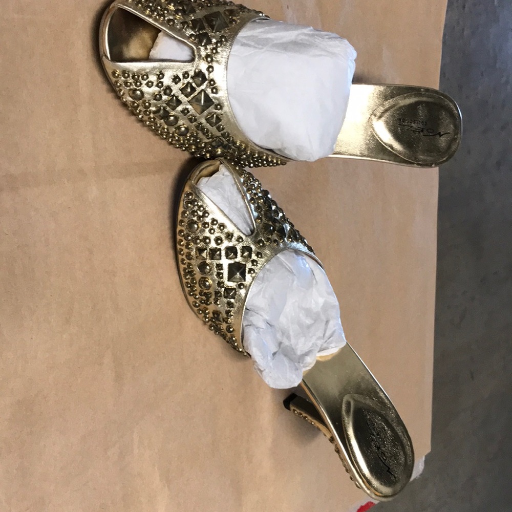 Cinderella slipper